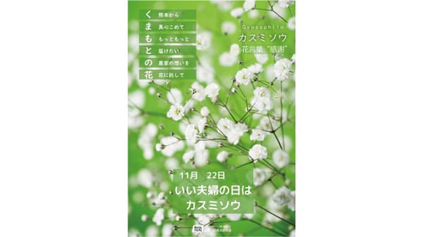 11月22日はカスミソウを贈ろう「熊本県産カスミソウフェア」開催　ＪＡ全農