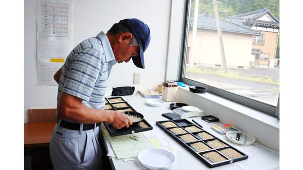 西郷倉庫で25年産米入庫始まる　ＪＡ鶴岡