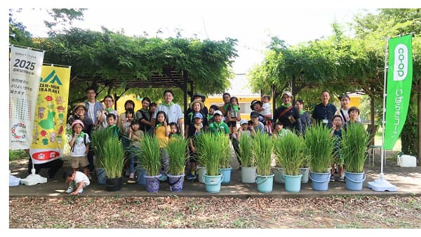 バケツ稲の成長を確認　「おむすびレンジャー」中間点検会開催　ＪＡ全農いばらき、いばらきコープ