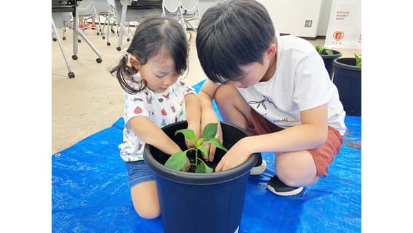 令和7年度3-R苗植え体験会開く　ＪＡ全農広島県本部