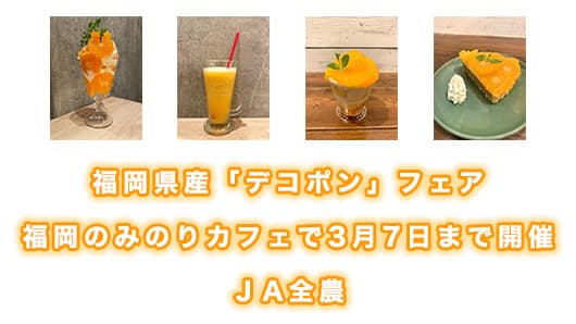 福岡の「みのりカフェ」で「デコポン」フェア　3月7日まで開催　ＪＡ全農