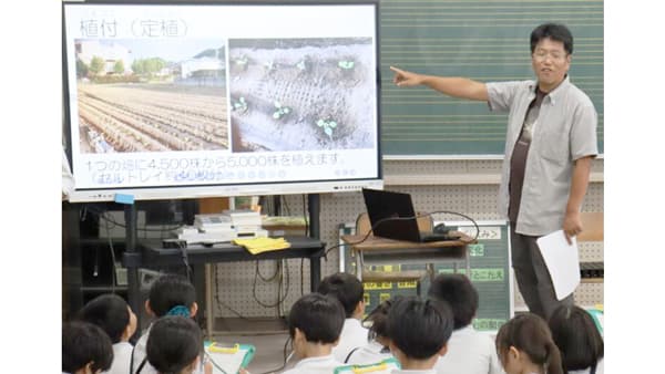 地域農業への理解深める食育活動　地元小学生にキャベツの出前授業　ＪＡ熊本市