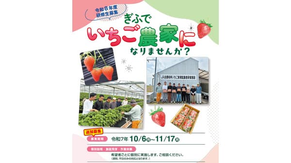 「いちご新規就農者研修事業」2026年度研修生、若干名を追加募集　ＪＡ全農岐阜