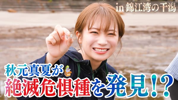 秋元真夏の「ゆるふわたいむ」絶滅危惧種を探しに錦江湾の干潟へ　ＪＡタウン
