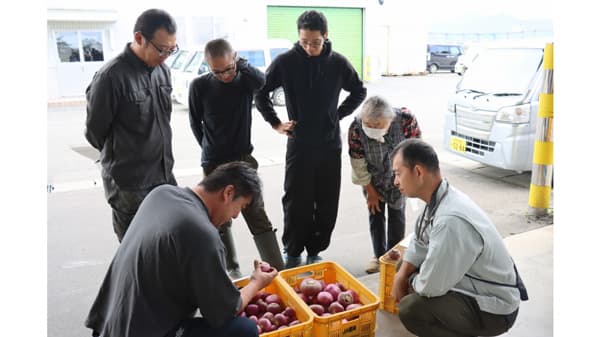 転作・砂丘赤カブの目揃い会を開く　ＪＡ鶴岡