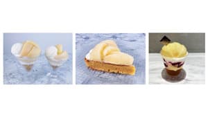 みずみずしい果汁と上品な甘さ「岡山白桃フェア」開催　ＪＡ全農