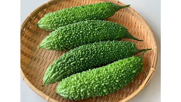 朱鷺が舞う島、佐渡から届く新潟県産「ゴーヤー」販売中　ＪＡタウン