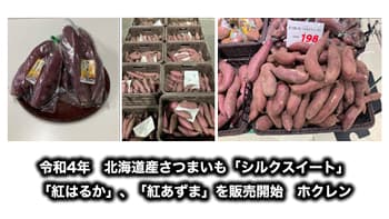 令和4年　北海道産さつまいも「シルクスイート」、「紅はるか」、「紅あずま」を販売開始　ホクレン