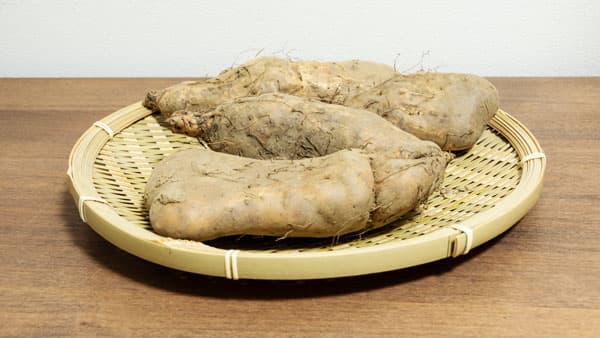 粘り強く贈答品にも　天候によって形状が変わる「相模原のやまといも」　ＪＡ相模原市