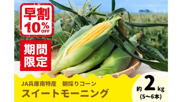 朝採りコーン　兵庫県産「スイートモーニング」予約販売開始　ＪＡタウン