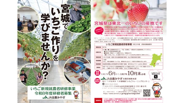 宮城県で令和8年度のいちご新規就農者研修者の募集開始　ＪＡ全農みやぎ