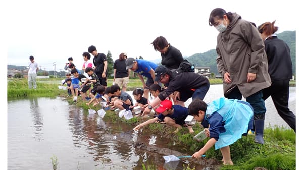 「親子田植えツアー」「田植え体験・田んぼの生きもの調査」実施　ＪＡ全農にいがた