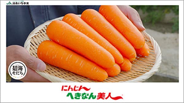 姿かたちは美しく味はピカイチ　砂地のやわらかさがおいしさの秘密　ＪＡあいち中央