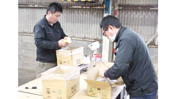 春の味覚タケノコ出荷本格化　ＪＡくま