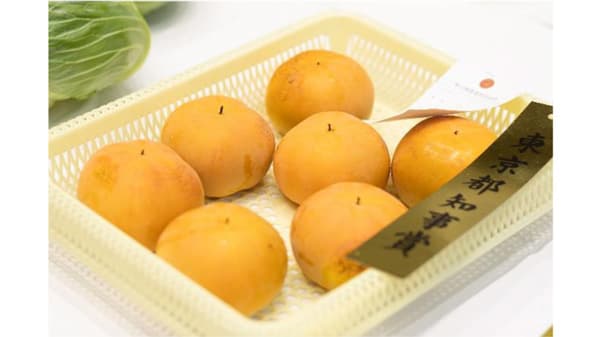 「第53回東京都農業祭」東京農家の栽培・出荷技術を審査　ＪＡ東京グループ