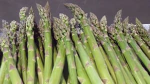 北海道産アスパラガスや天然ホタテ貝柱など20％OFF「年度末大決算セール」開催　ＪＡタウン