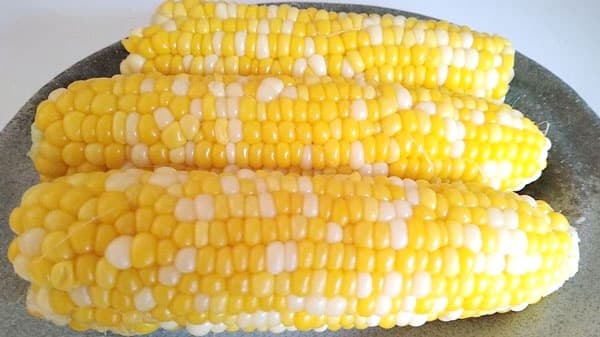 バイカラースイートコーン　徳島県産「甘々娘」販売中　ＪＡタウン