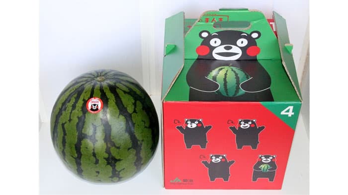 大玉で高糖度の菊池すいか「春のだんらん」販売中　ＪＡタウン