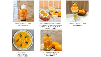 初夏が旬「国産ハウスみかんフェア」直営飲食店舗で27日まで開催　ＪＡ全農