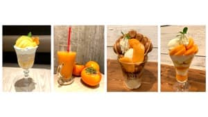 柿の王様「富有柿」フェア　「福岡のみのりカフェ」で22日から開催　ＪA全農