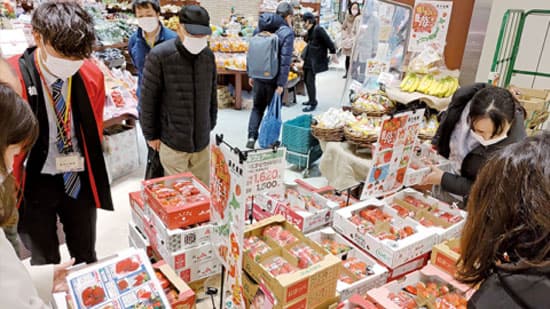 「いちご主産9県合同物販フェア」開催　ＪＡグループ　いちご主産県情報交換会