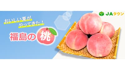 「ＪＡ全農福島」旬の福島の桃が続々登場　ＪＡタウン