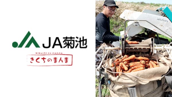 熊本・ＪＡ菊池の春ニンジンが出荷本番　甘みたっぷり、日量30トン出荷へ