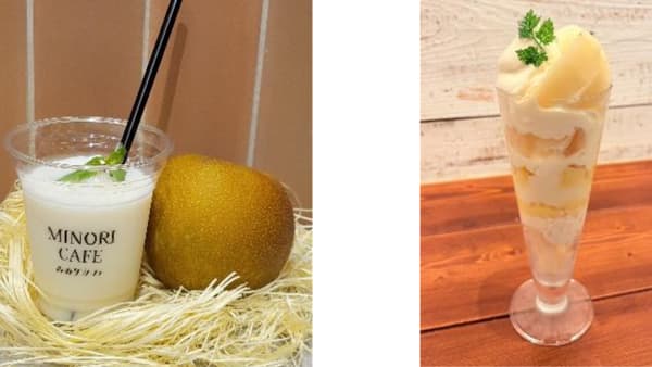 九州一の梨産地から「福岡県産なしフェア」全農直営飲食店舗で開催