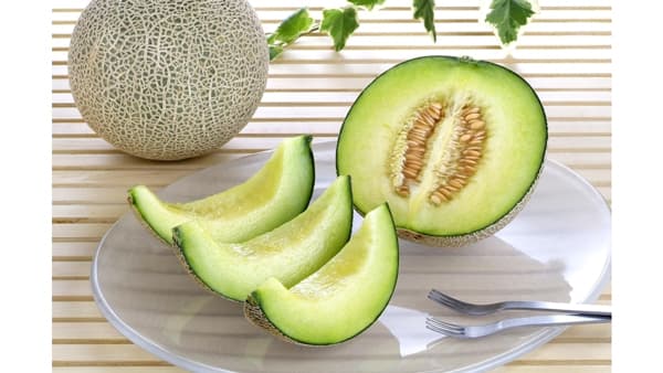 糖度15度以上の茨城県産アンデス・クインシーメロンを販売中　ＪＡタウン