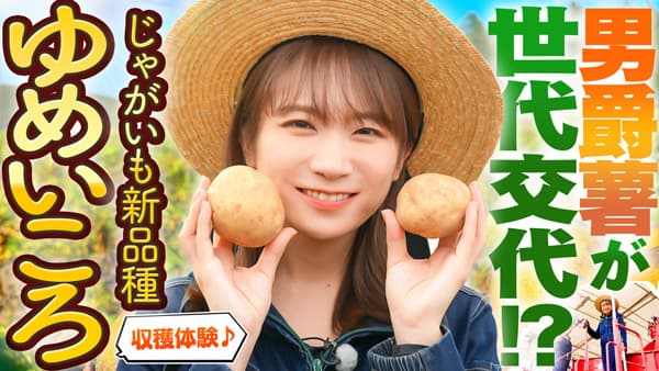 秋元真夏の「ゆるふわたいむ」北海道訓子府町で じゃがいもの新品種「ゆめいころ」を収穫　ＪＡタウン