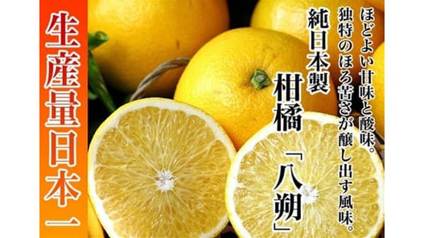 ＪＡタウン「ココ・カラ。和歌山マルシェ」で新春お年玉キャンペーン開催