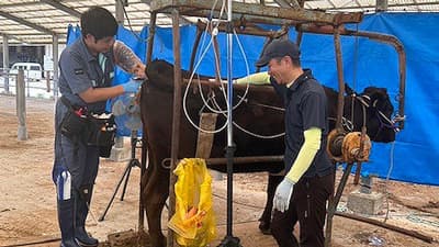 【ＪＡ全農の若い力】受精卵移植で所得向上の一翼に　全農ＥＴ研九州分場（1）技術磨き農の未来へ　杉本侃司さん