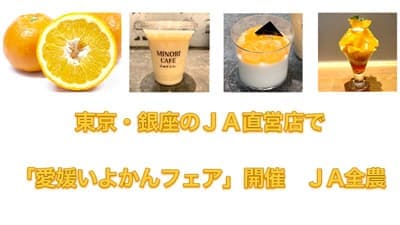 東京・銀座のＪＡ直営店で「愛媛いよかんフェア」開催　ＪＡ全農