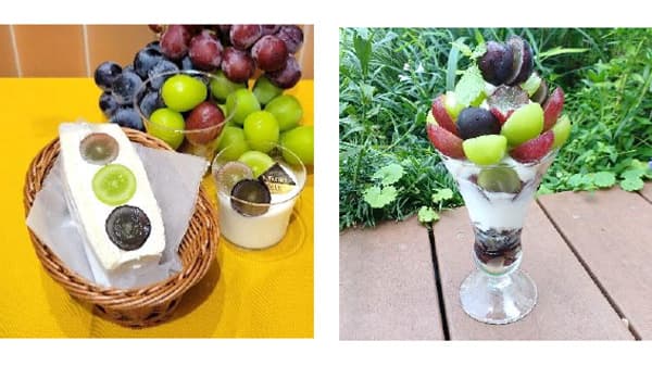 秋の味覚「長野県産ぶどう三姉妹フェア」26日から開催　ＪＡ全農