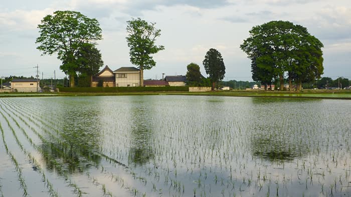 【花ひらく暮らしと地域―ＪＡ女性　四分の三世紀（最終回）】男女共同参画社会へ＜下＞　試されている本気度と勇気