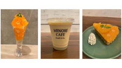 甘みが凝縮された極早生みかん　福岡県産「早味かんフェア」開催　ＪＡ全農