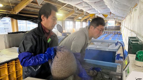 2026年産米の水稲種子もみ温湯消毒スタート　ＪＡ鶴岡