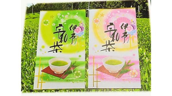山あいで育った「宇和茶」の甘みと香り　遠赤外線製法でじっくり乾燥　ＪＡひがしうわ