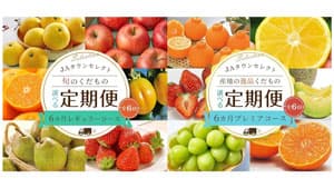 全国から旬の果物が"毎月"届く「果物頒布会」販売開始　ＪＡタウン
