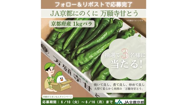 「京都のうまいもん」X（旧Twitter）プレゼントキャンペーン　フォロー＆リポストで「ＪＡ京都にのくに　万願寺甘とう」が抽選で3人に