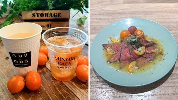 「鹿児島県産きんかんフェア」福岡県の直営飲食店舗で開催　ＪＡ全農