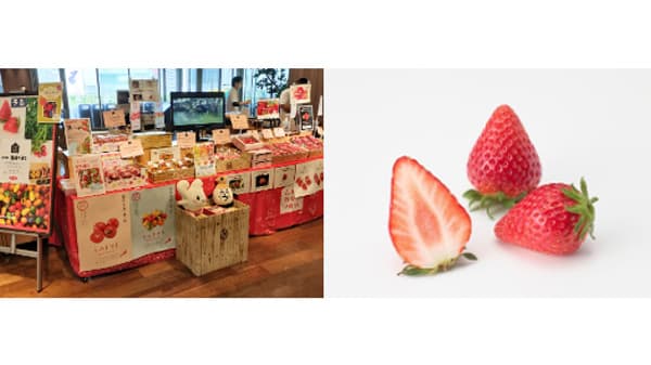 銀座三越みのりみのるマルシェ「豊橋の実り」21日に開催　ＪＡ全農