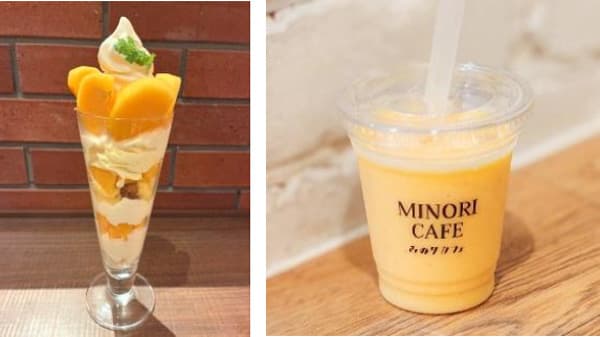 1日200gの国産くだものを　秋の味覚「国産柿フェア」直営6店舗で開催　ＪＡ全農