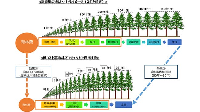 低コスト再造林プロジェクト立ち上げ－全森連と農林中金