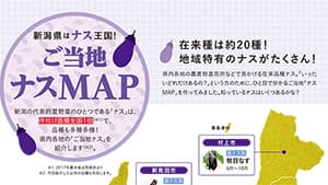 ＪＡグループ新潟が「ご当地　ナスMAP」　県内各地の在来種を紹介