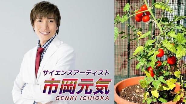 パクチーでコーラができる？！　全中が「やさいの日」イベント開催