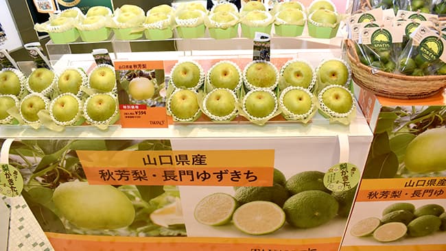 おいしさに大満足　JA山口県が東京で試食会