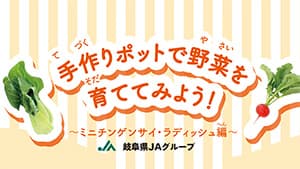 おうち時間に自宅で野菜栽培　岐阜県ＪＡグループ