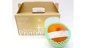 糖度と大きさ極めた梨「にっこり 栃木プレミアム」販売開始