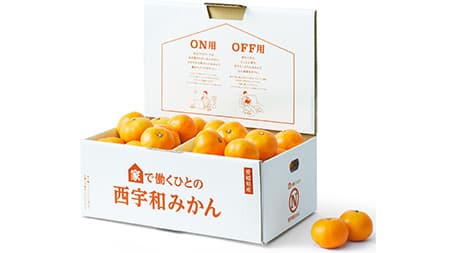 テレワーカーへ「家で働くひとの西宇和みかん」販売開始　ＪＡにしうわ